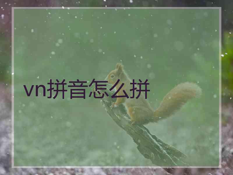 vn拼音怎么拼