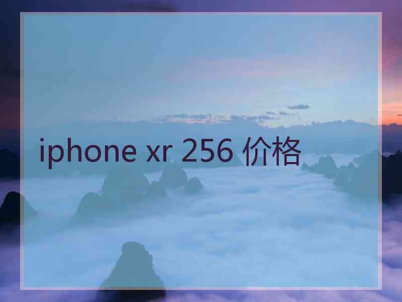 iphone xr 256 价格