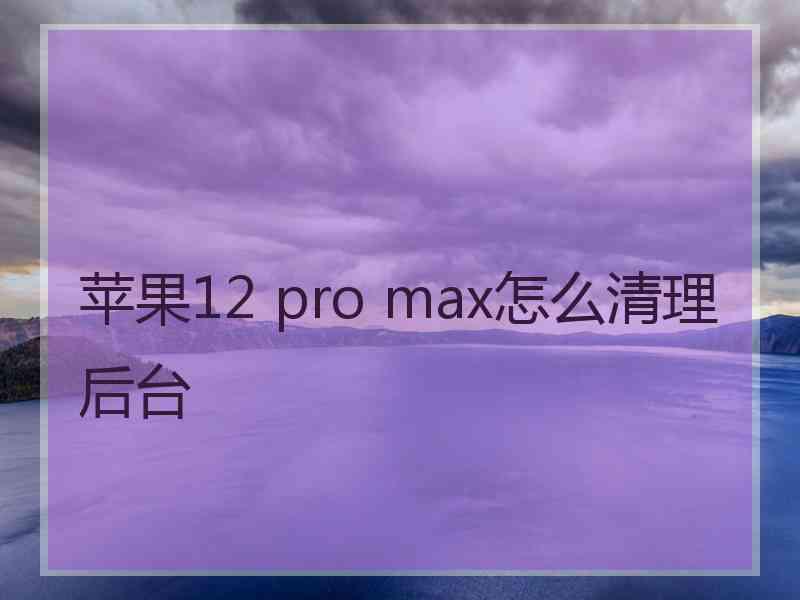 苹果12 pro max怎么清理后台