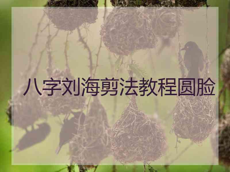 八字刘海剪法教程圆脸