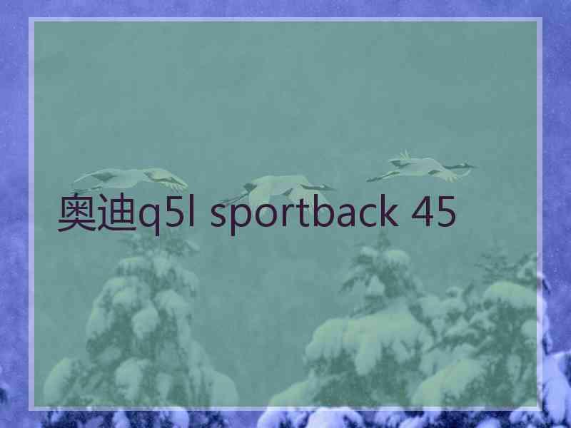 奥迪q5l sportback 45