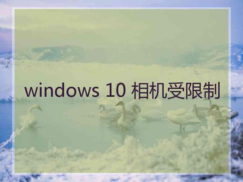 windows 10 相机受限制