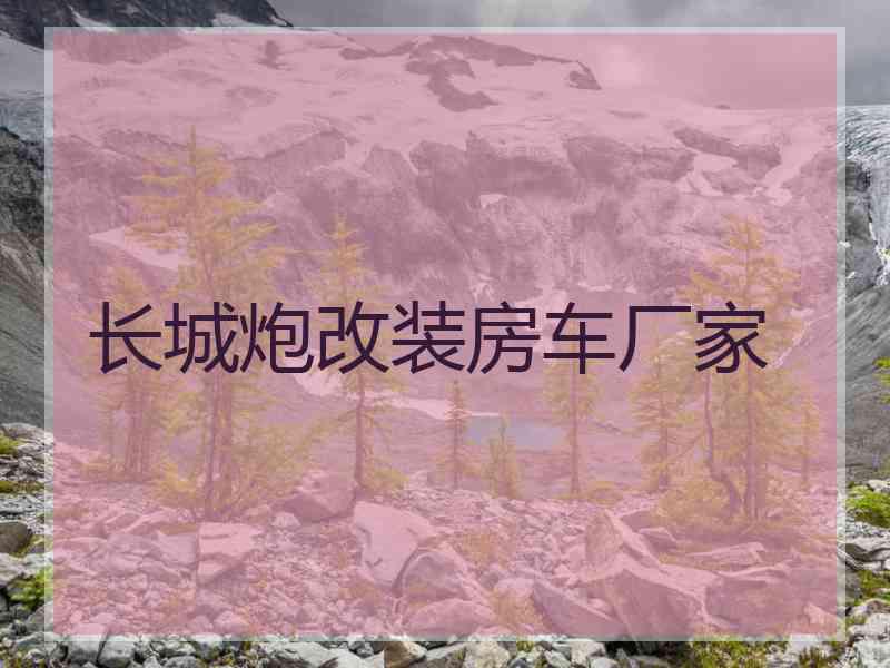 长城炮改装房车厂家