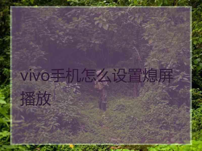 vivo手机怎么设置熄屏播放