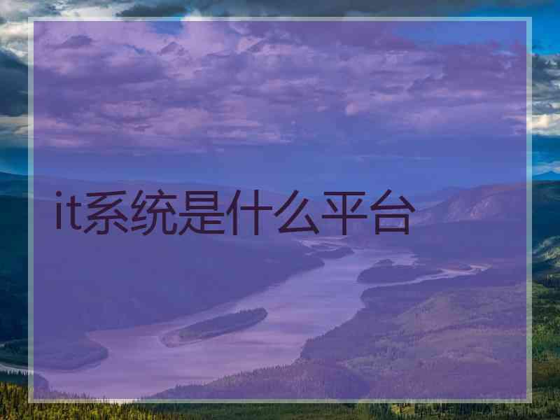 it系统是什么平台