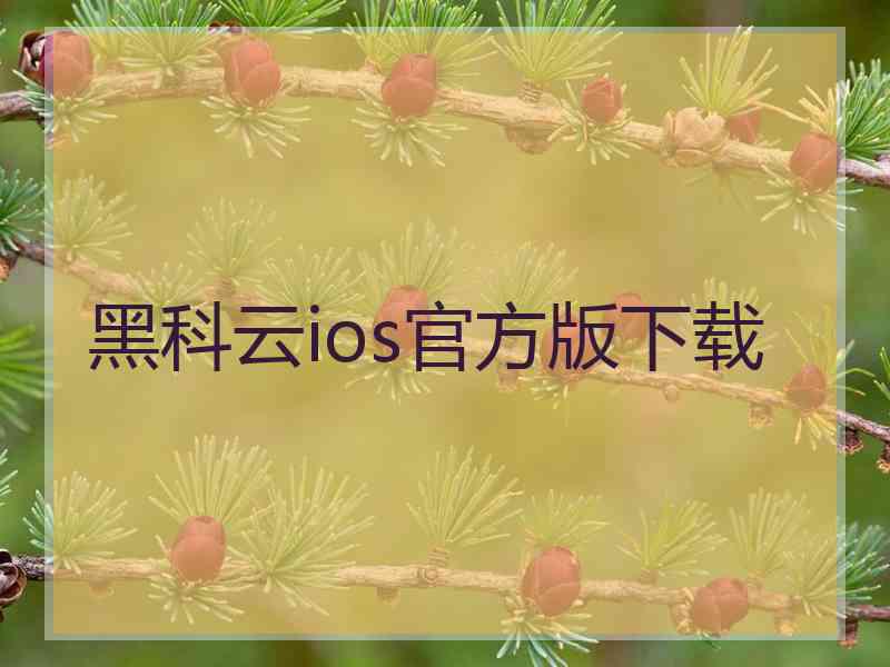 黑科云ios官方版下载