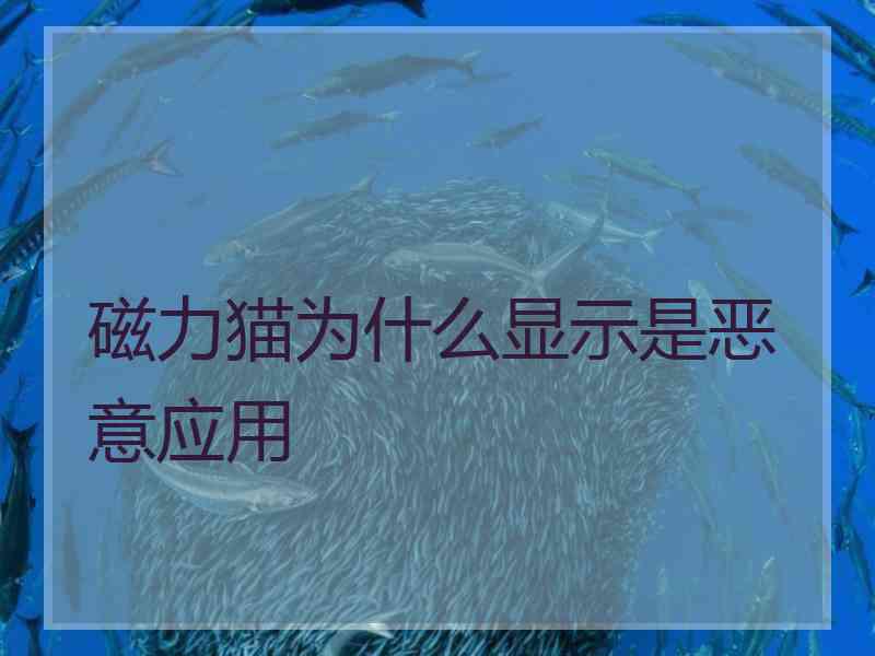 磁力猫为什么显示是恶意应用