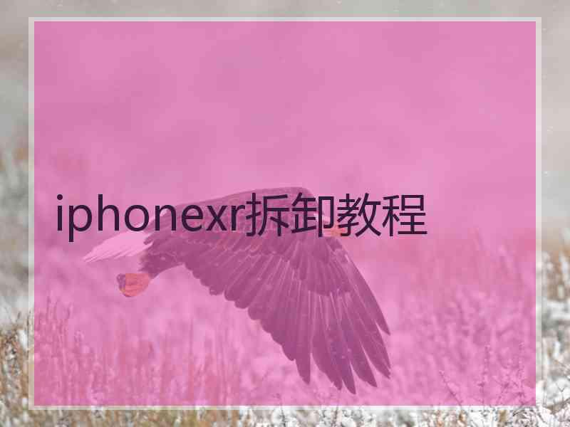 iphonexr拆卸教程