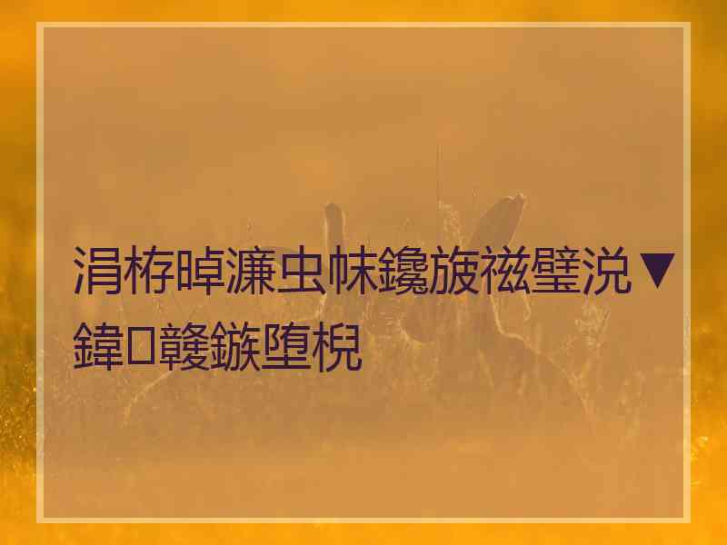 涓栫晫濂虫帓鑱旇禌璧涚▼鍏竷鏃堕棿