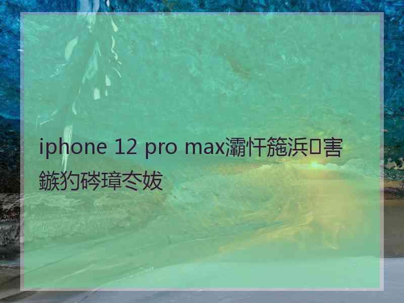 iphone 12 pro max灞忓箷浜害鏃犳硶璋冭妭