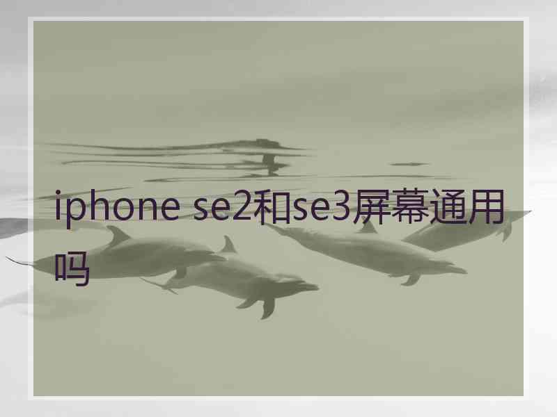 iphone se2和se3屏幕通用吗