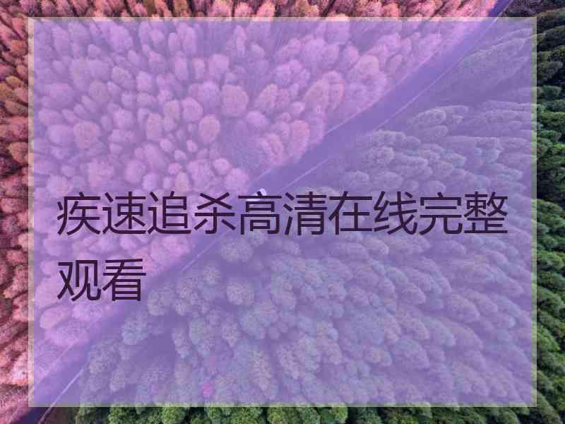 疾速追杀高清在线完整观看