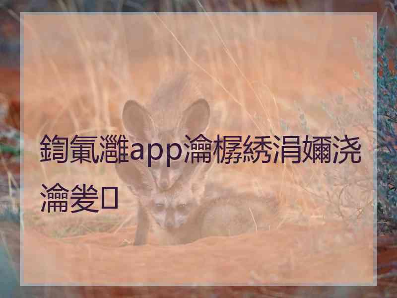 鍧氭灉app瀹樼綉涓嬭浇瀹夎