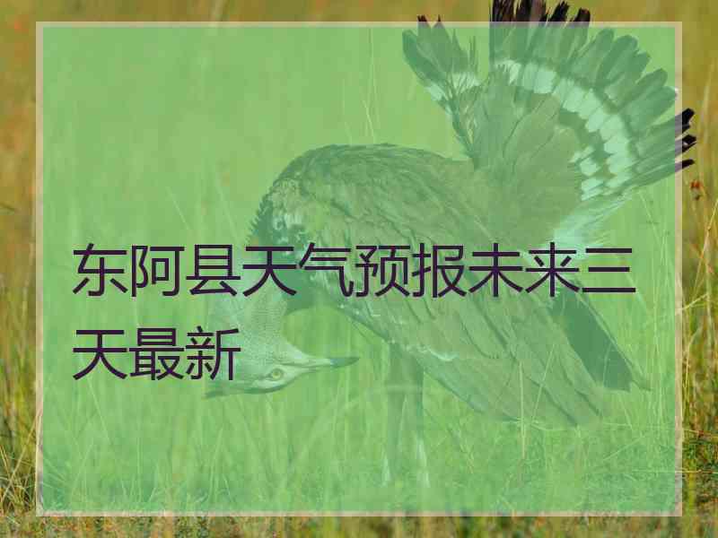 东阿县天气预报未来三天最新