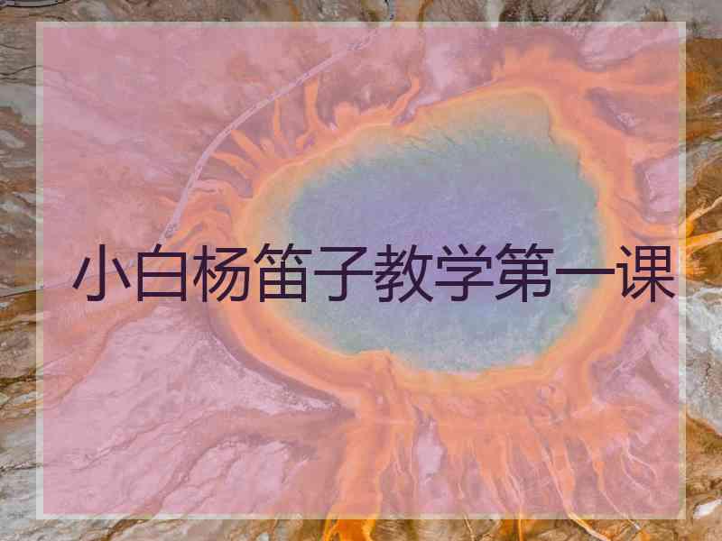 小白杨笛子教学第一课