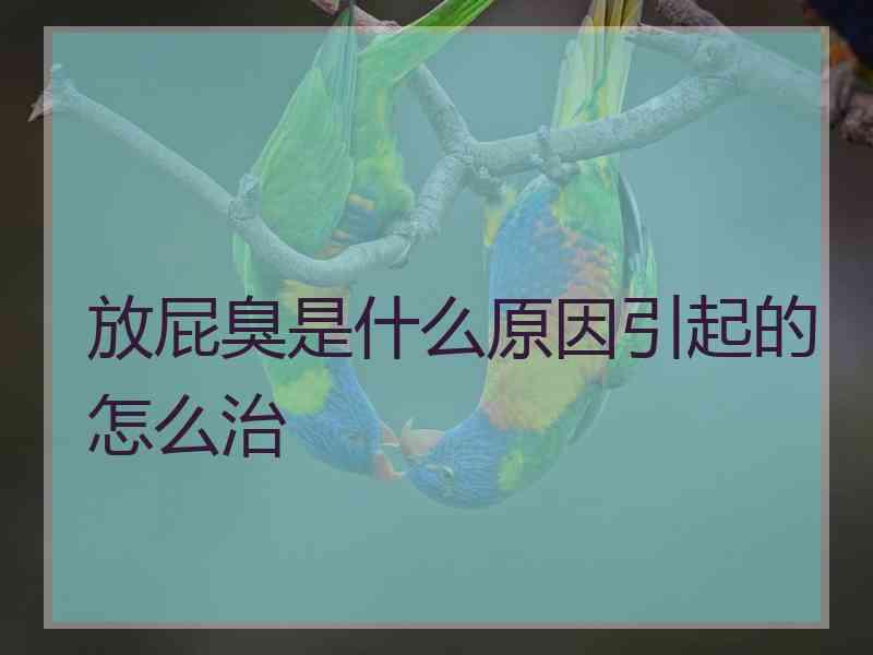 放屁臭是什么原因引起的怎么治