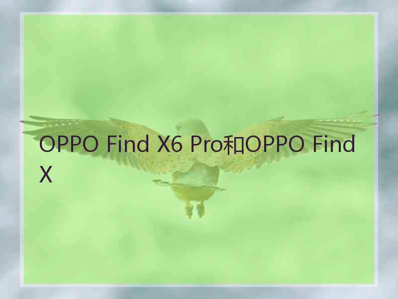 OPPO Find X6 Pro和OPPO Find X