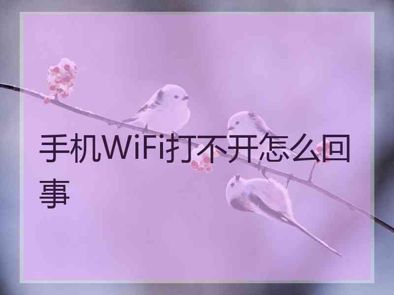 手机WiFi打不开怎么回事