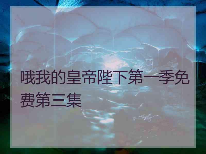 哦我的皇帝陛下第一季免费第三集