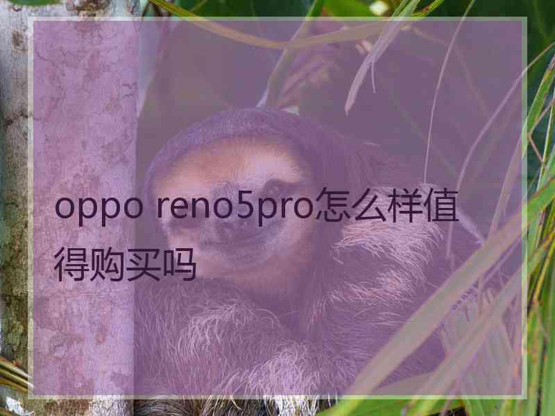 oppo reno5pro怎么样值得购买吗