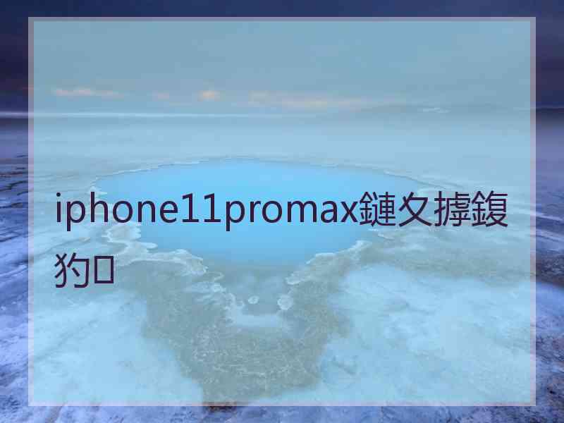 iphone11promax鏈夊摢鍑犳