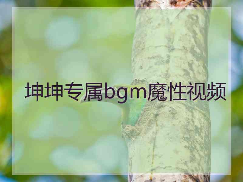 坤坤专属bgm魔性视频