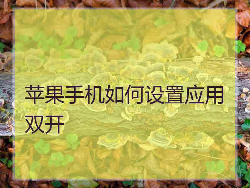 苹果手机如何设置应用双开