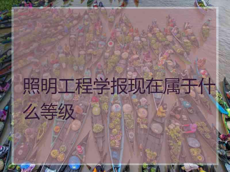 照明工程学报现在属于什么等级