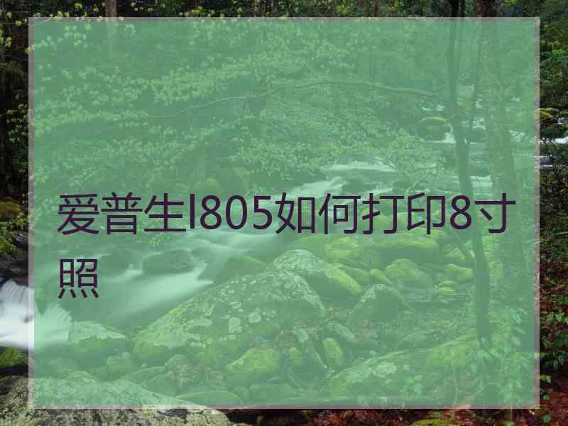 爱普生l805如何打印8寸照