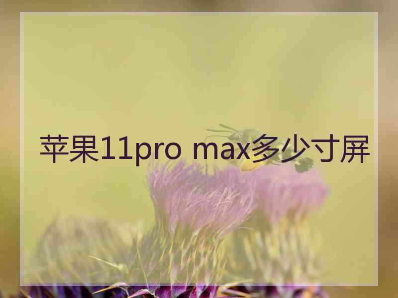 苹果11pro max多少寸屏