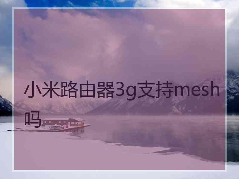 小米路由器3g支持mesh吗