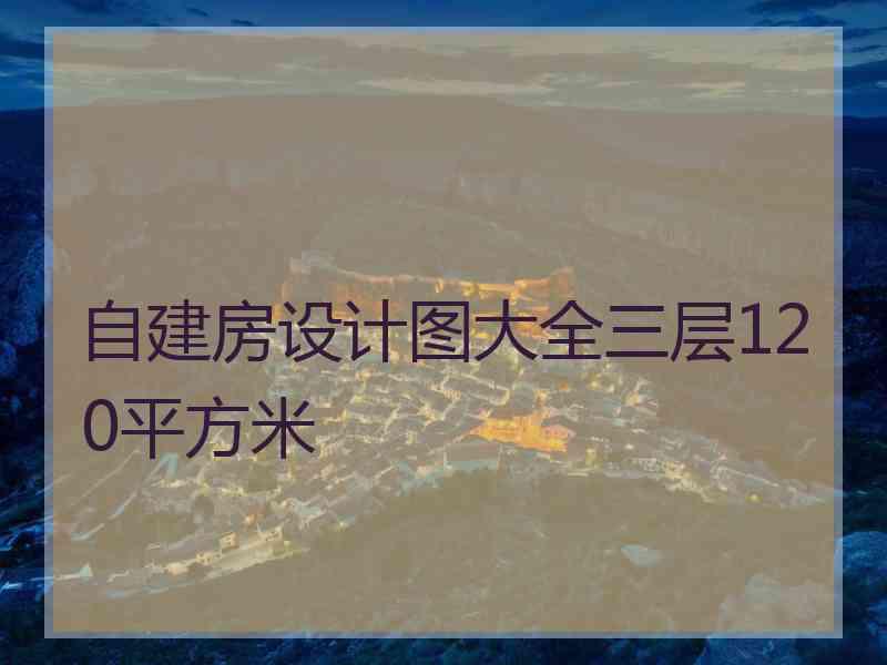 自建房设计图大全三层120平方米