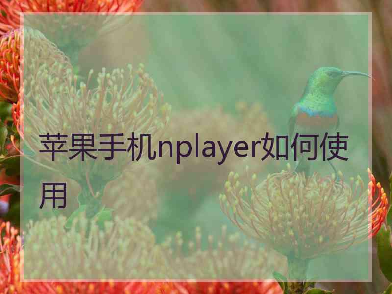 苹果手机nplayer如何使用