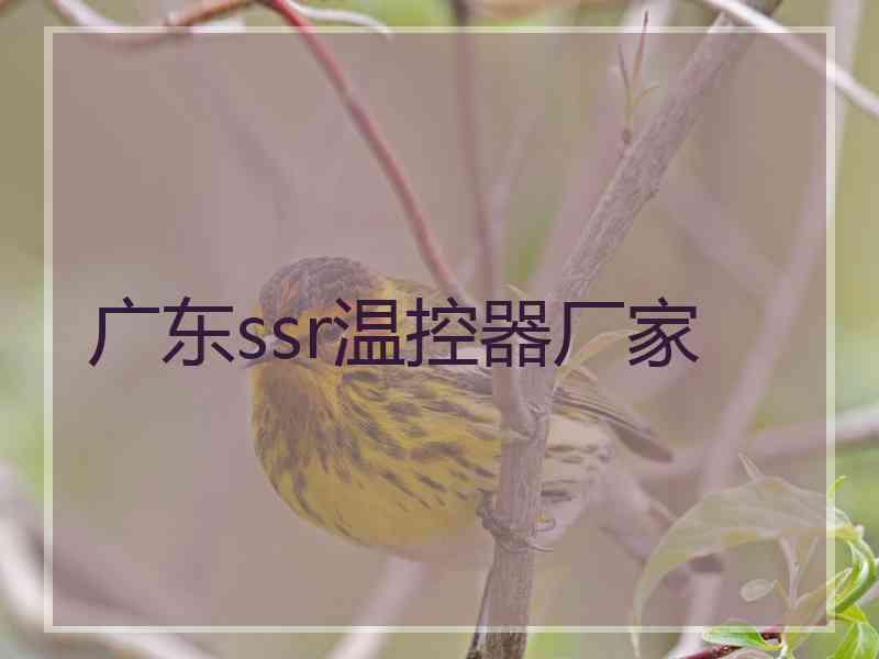 广东ssr温控器厂家