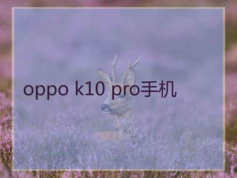 oppo k10 pro手机