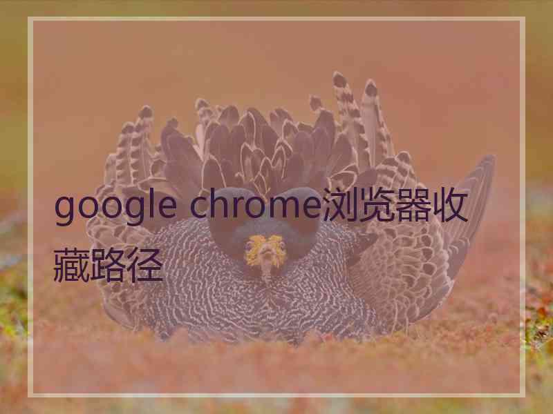 google chrome浏览器收藏路径