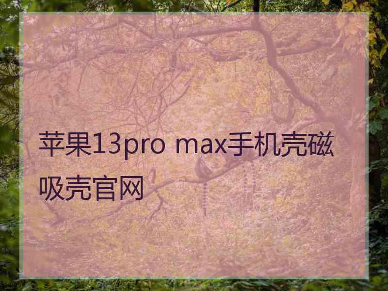 苹果13pro max手机壳磁吸壳官网