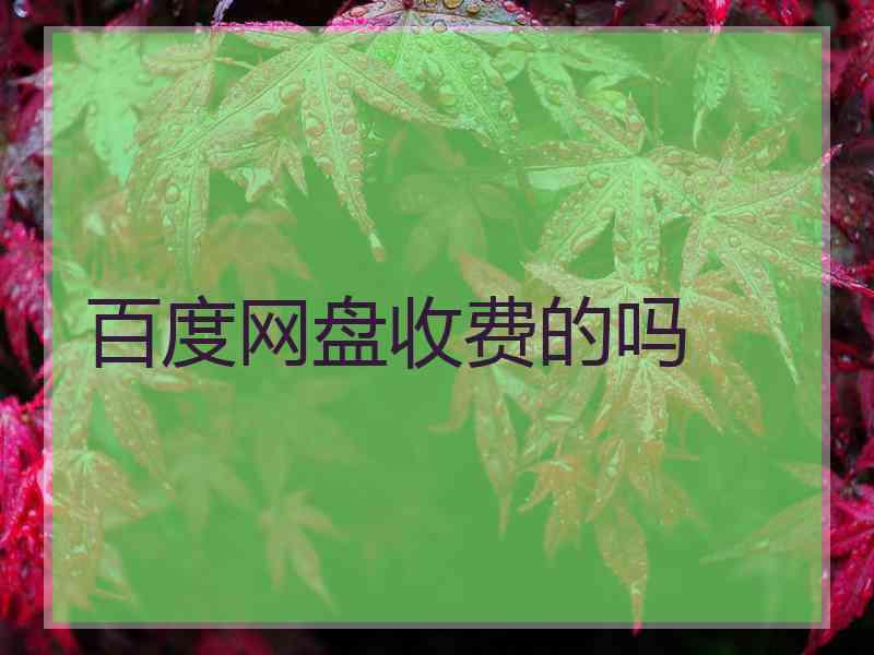 百度网盘收费的吗