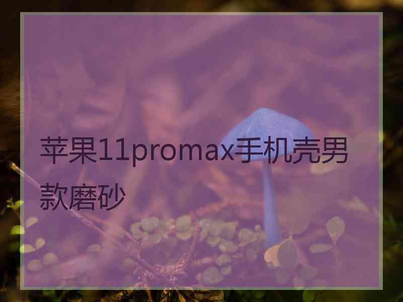 苹果11promax手机壳男款磨砂