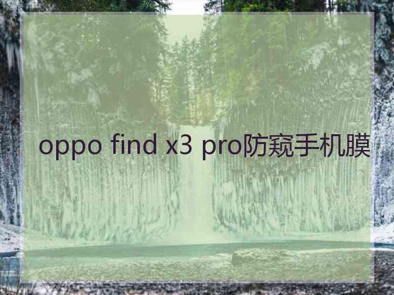 oppo find x3 pro防窥手机膜