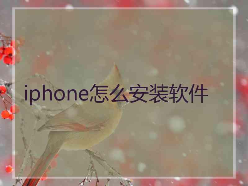 iphone怎么安装软件