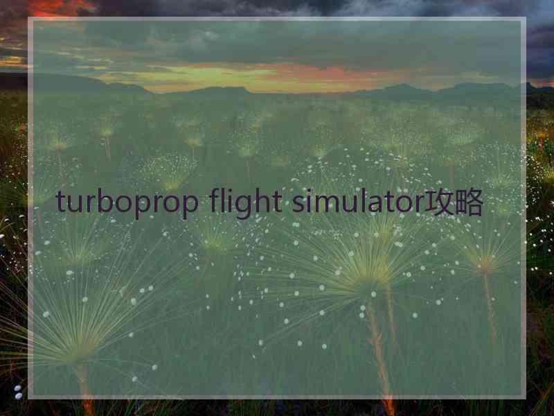 turboprop flight simulator攻略