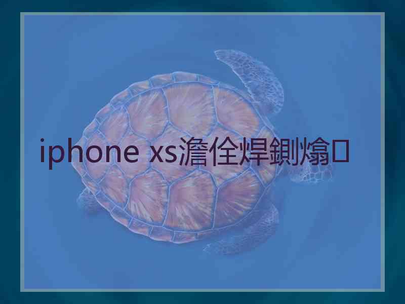 iphone xs澹佺焊鍘熻