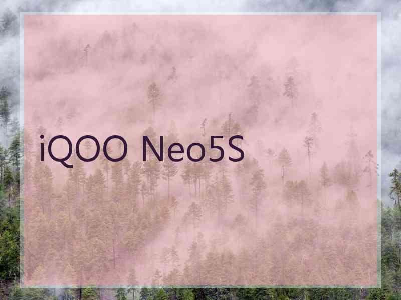 iQOO Neo5S