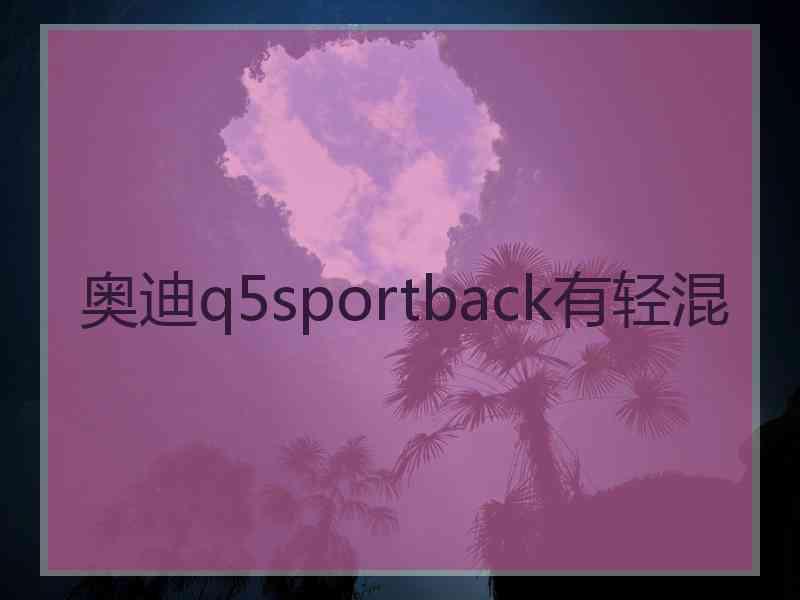 奥迪q5sportback有轻混