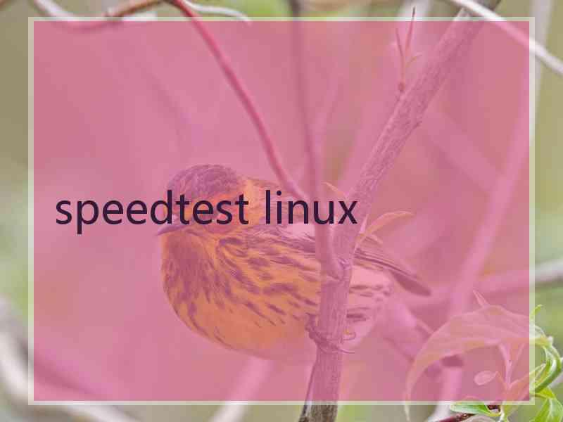 speedtest linux