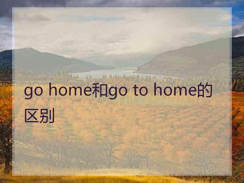 go home和go to home的区别