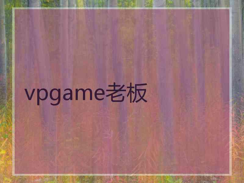 vpgame老板