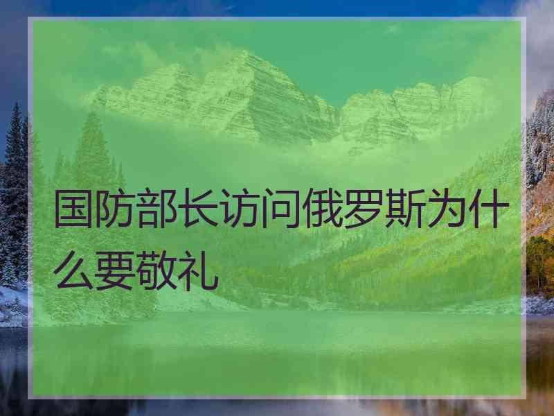 国防部长访问俄罗斯为什么要敬礼