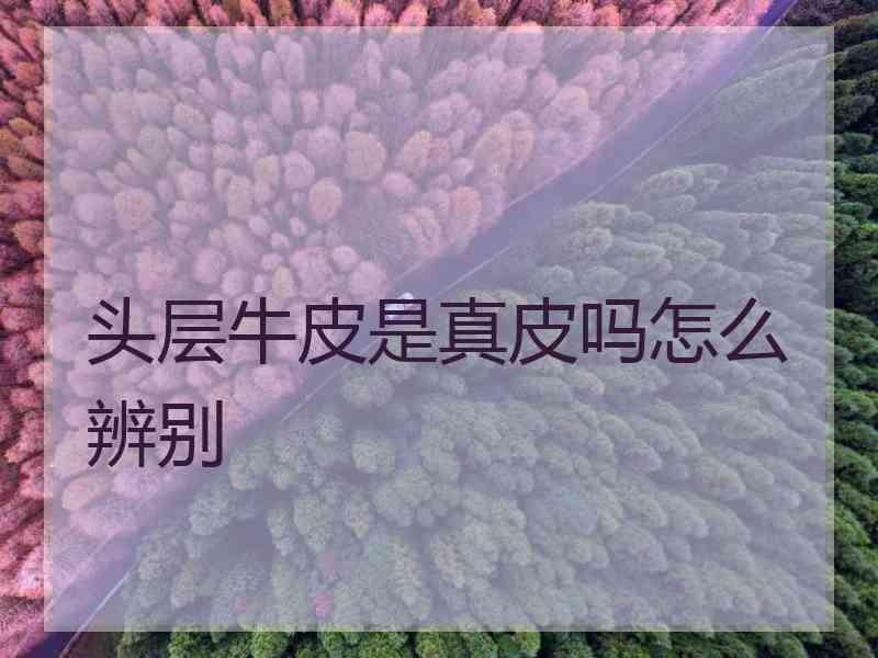 头层牛皮是真皮吗怎么辨别